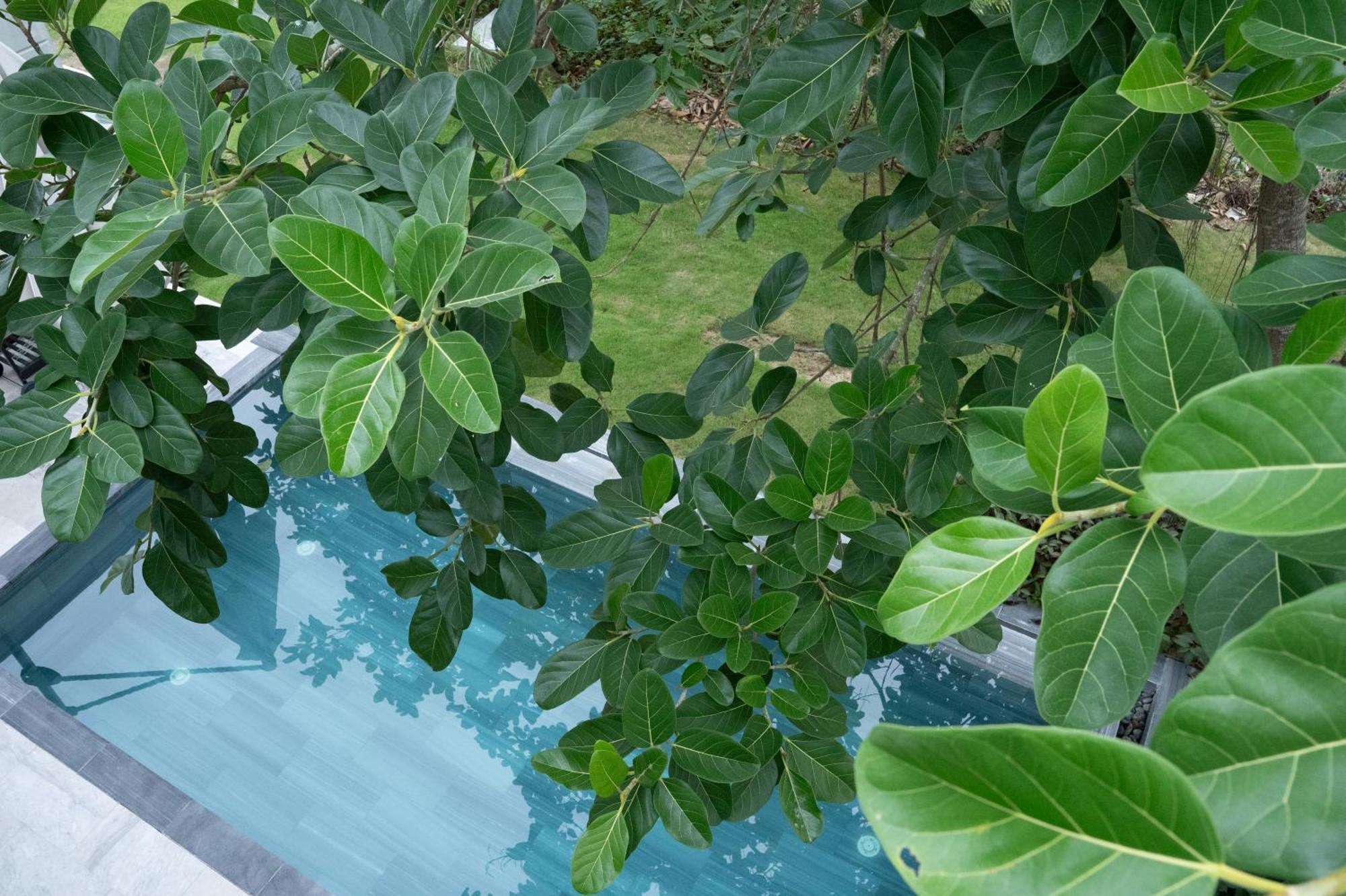"Brg Golf Club" - Danang Private Pool Villa 3 Bedrooms #1 Экстерьер фото